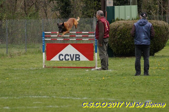 2017 Ring-Chassal-Deckers (19) (Copier).jpg